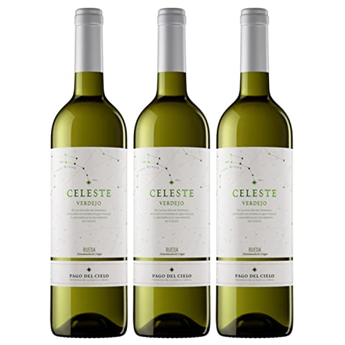 Miguel Torres Celeste Verdejo D.O. Weißwein Wein Trocken Spanien I Versanel Paket (3 x 0,75l) von Weingut Miguel Torres
