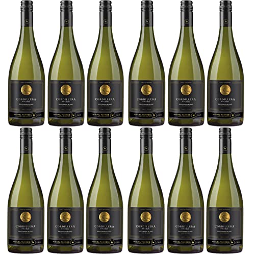 Miguel Torres Cordillera Sauvignon Blanc Elqui Valley Weißwein Wein Trocken Chile I Versanel Paket (12 x 0,75l) von Weingut Miguel Torres