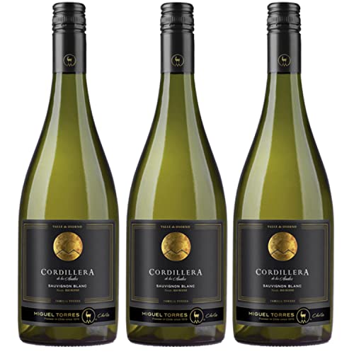 Miguel Torres Cordillera Sauvignon Blanc Elqui Valley Weißwein Wein Trocken Chile I Versanel Paket (3 x 0,75l) von Weingut Miguel Torres