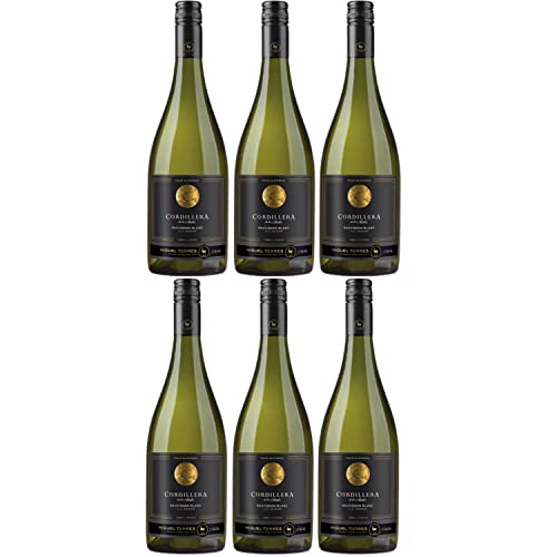 Miguel Torres Cordillera Sauvignon Blanc Elqui Valley Weißwein Wein Trocken Chile I Versanel Paket (6 x 0,75l) von Weingut Miguel Torres