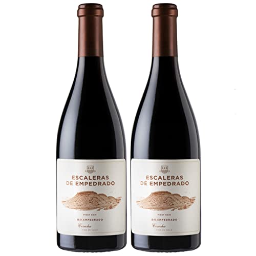 Miguel Torres Escaleras de Empedrado Rotwein Wein Trocken Chile I Versanel Paket (2 x 0,75l) von Weingut Miguel Torres