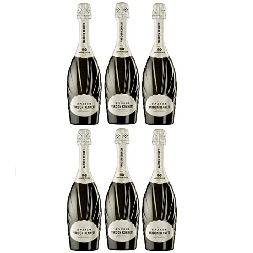 Miguel Torres Esplendor Vardon Kennett Schaumwein Sekt Trocken Spanien Inkl FeinWert E-Book (6 x 0,75l) von Weingut Miguel Torres