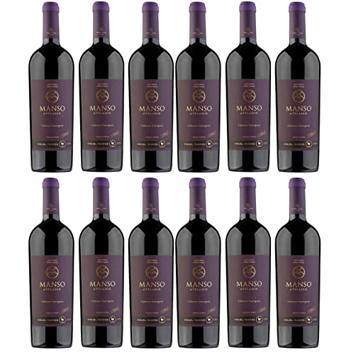 Miguel Torres Manso de Velasco Cabernet Sauvignon Rotwein Wein Trocken Chile I Versanel Paket (12 x 0,75l) von Weingut Miguel Torres