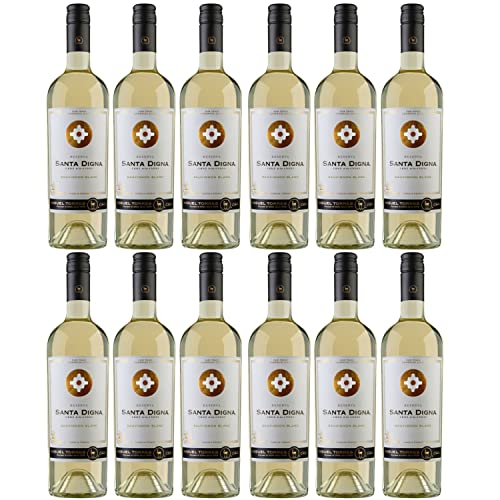 Miguel Torres Santa Digna Reserva Sauvignon Blanc Weißwein Wein Trocken Chile I Versanel Paket (12 x 0,75l) von Weingut Miguel Torres