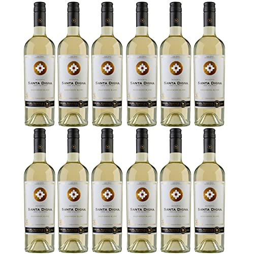 Miguel Torres Santa Digna Reserva Sauvignon Blanc Weißwein Wein Trocken Chile I Versanel Paket (12 x 0,75l) von Weingut Miguel Torres