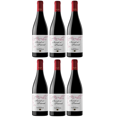 Miguel Torres Secret del Priorat Rotwein Wein Halbtrocken Spanien I Versanel Paket (6 x 0,75l) von Weingut Miguel Torres