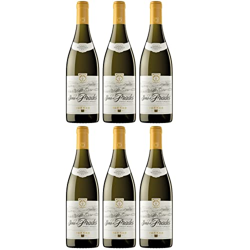 Miguel Torres Sons de Prades D.O. Weißwein Wein Trocken Spanien I Versanel Paket (6 x 0,75l) von Weingut Miguel Torres