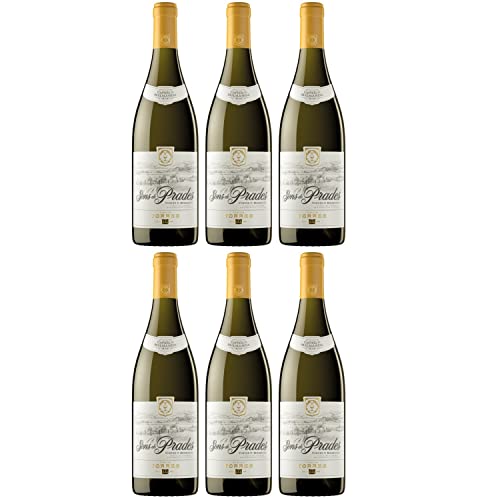 Miguel Torres Sons de Prades D.O. Weißwein Wein Trocken Spanien I Versanel Paket (6 x 0,75l) von Weingut Miguel Torres