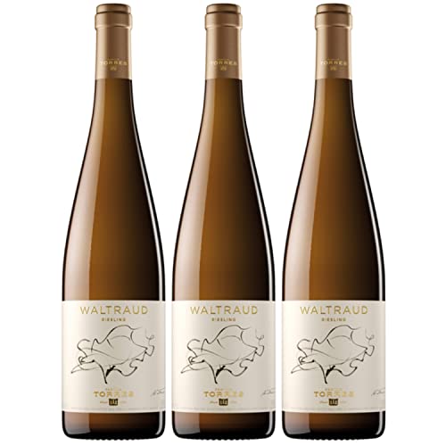 Miguel Torres Waltraud Riesling D.O. Weißwein Wein Trocken Spanien I FeinWert Paket (3 x 0,75l) von Weingut Miguel Torres