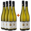 WirWinzer Select 2023 4+2 Münzberg Riesling vom Kalk von Weingut Münzberg