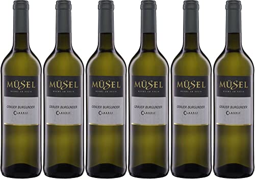 6x Grauer Burgunder trocken Müsel 2019 - Weingut Müsel, Rheinhessen - Weißwein von Weingut Müsel