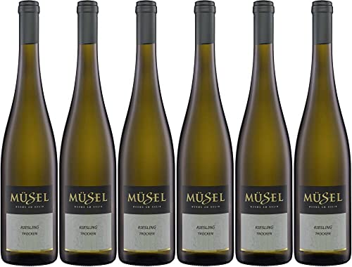 6x Riesling trocken Herrnsheimer Müsel 2018 - Weingut Müsel, Rheinhessen - Weißwein von Weingut Müsel