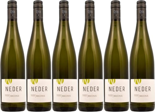 6x Frankens Saalestück Bacchus trocken 2023 - Weingut Neder, Franken - Weißwein von Weingut Neder