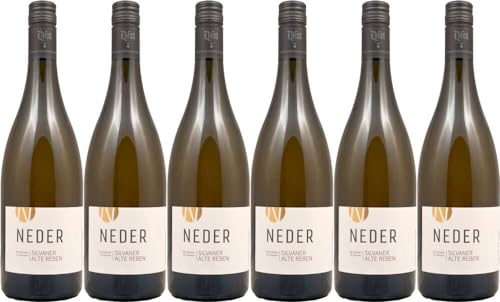 6x Ramsthaler St. Klausen Silvaner Alte Reben trocken 2021 - Weingut Neder, Franken - Weißwein von Weingut Neder