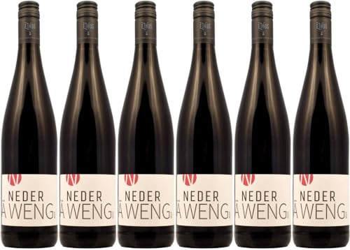 6x ?WENG rot 2022 - Weingut Neder, Franken - Rotwein von Weingut Neder