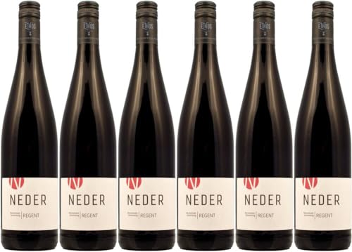 6x Wirmsthaler Scheinberg Regent trocken 2021 - Weingut Neder, Franken - Rotwein von Weingut Neder