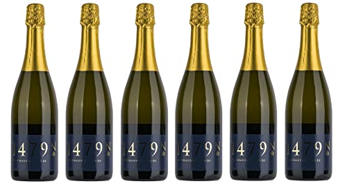 6x 0,75l - Weingut Nelles - Cuvée Pinot - Brut - Sekt Ahr - Deutschland - Schaumwein trocken von Weingut Nelles