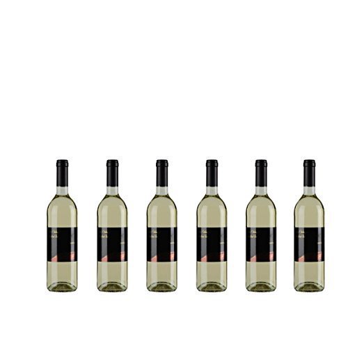 Thörnicher Riesling Spontan Weißwein Mosel 2020 trocken (6x 0.75 l) von Weingut Nikolaus Thul