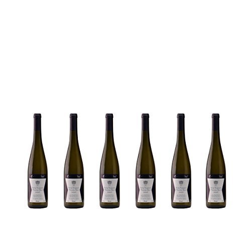 Thörnicher Ritsch Riesling Hochgewächs feinherb Weißwein Mosel 2020 halbtrocken (6x 0.75 l) von Weingut Nikolaus Thul