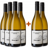 WirWinzer Select 2023 4+2 Blockbuster Grauburgunder WirWinzer Select 2023 4+2 Blockbuster Grauburgunder von Weingut Peth-Wetz