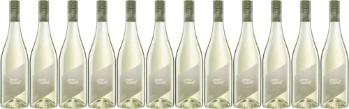 12x Ganz Zart Weiß trocken 2023 - Weingut Pfaffl, Niederösterreich - Weißwein von Weingut Pfaffl