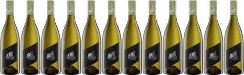 12x Grüner Veltliner Vom Haus 2022 - Weingut Pfaffl, Niederösterreich - Weißwein von Weingut Pfaffl