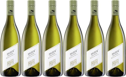 6x Grüner Veltliner Haiden DAC 2022 - Weingut Pfaffl, Weinviertel - Weißwein von Weingut Pfaffl