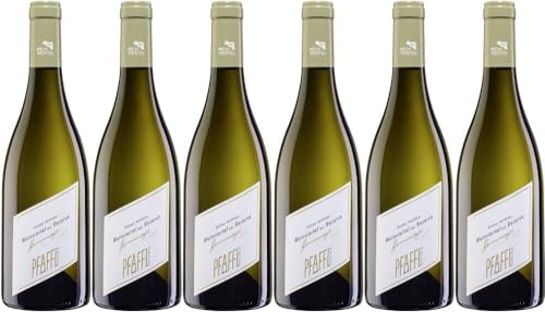 6x Grüner Veltliner Hommage Reserva 2022 - Weingut Pfaffl, Weinviertel - Weißwein von Weingut Pfaffl