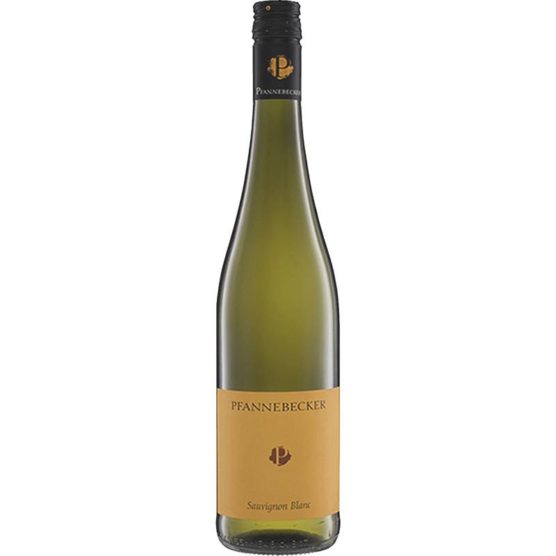 Pfannebecker Sauvignon Blanc, Trocken,Rheinhessen, Rheinhessen, 2024, Weißwein von Weingut Pfannebecker,67551,Worms-Pfeddersheim,Deutschland