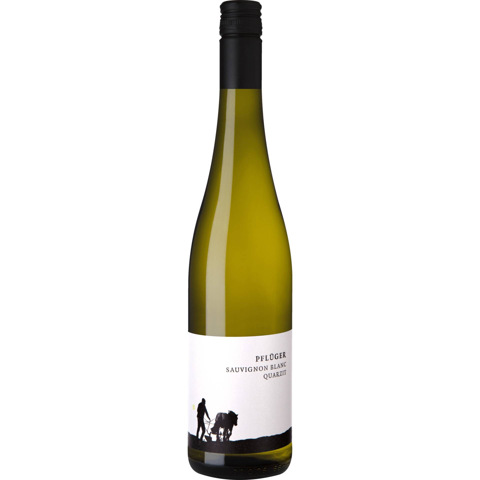 Pflüger Sauvignon Blanc vom Quarzit, Trocken, Pfalz, Pfalz, 2022, Weißwein von Weinkontor A.&J. Pflüger, D - 67098 Bad Dürkheim