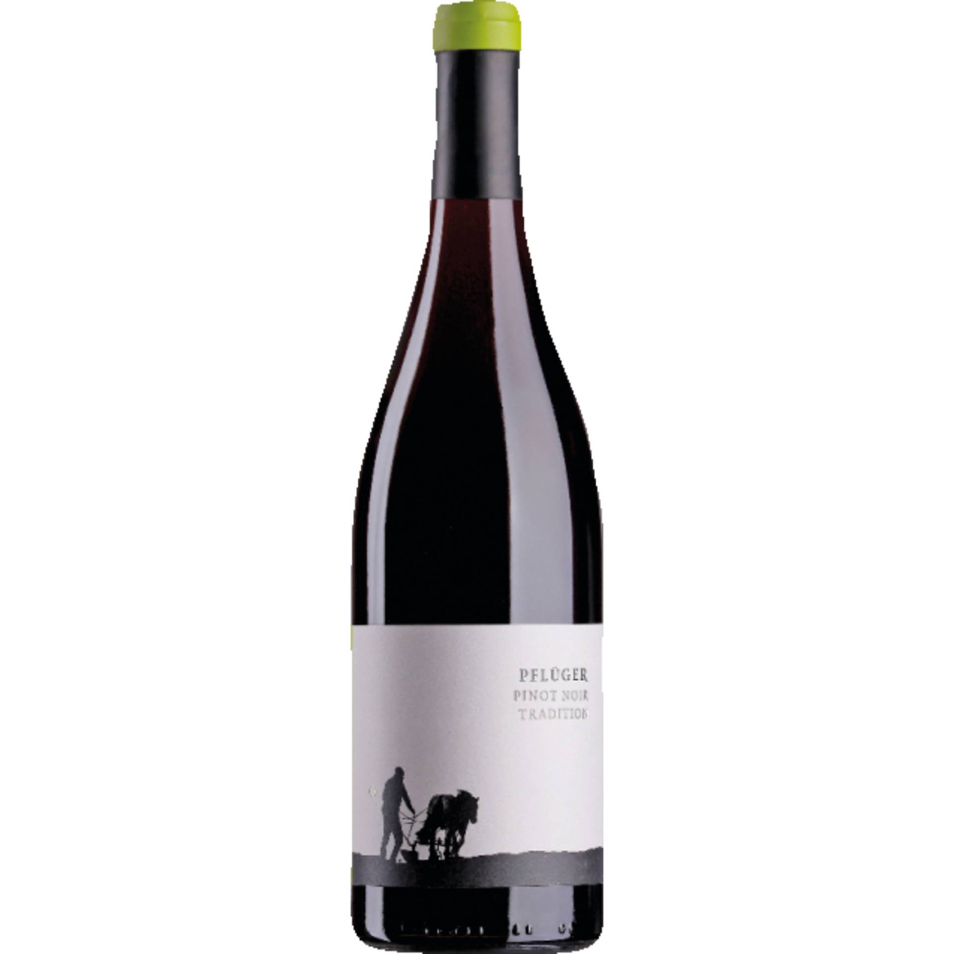 Tradition Pinot Noir, Trocken, Pfalz, Pfalz, 2021, Rotwein Tradition Pinot Noir, Trocken, Pfalz, Pfalz, 2021, Rotwein von Weinkontor A.&J. Pflüger, D - 67098 Bad Dürkheim