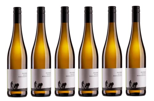 6x 0,75l - Weingut Pflüger - Riesling vom Buntsandstein - Qualitätswein Pfalz - Deutschland - Weißwein trocken von Weingut Pflüger