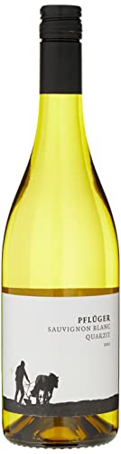 Weingut Pflüger Sauvignon Blanc vom Quarzit Öko Wein trocken (1 x 0.75 l) von Weingut Pflüger