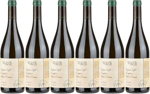 6x Dogheria Rubicone Pinot Bianco 2022 - Weingut Poderi dal Nespoli, Rubicone IGT - Weißwein von Weingut Poderi dal Nespoli