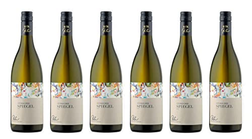 6x 0,75l - 2023er - Weingut Polz - Steirischer Spiegel - Steiermark - Österreich - Weißwein trocken von Weingut Polz
