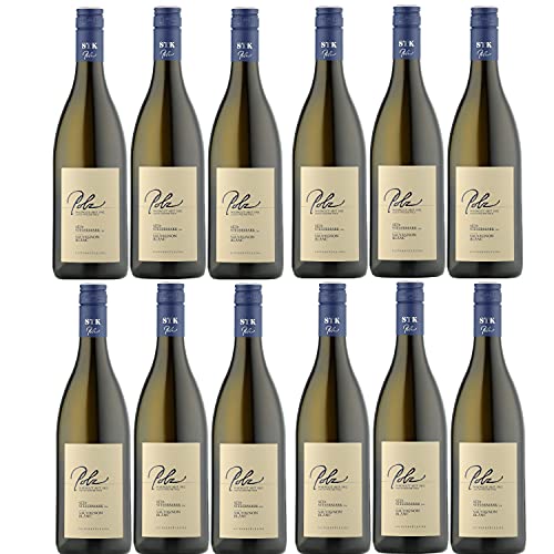 Weingut Polz Sauvignon Blanc Südsteiermark DAC Weißwein Wein trocken Österreich (12 Flaschen) von Weingut Polz