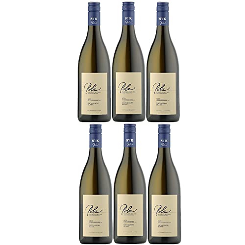 Weingut Polz Sauvignon Blanc Südsteiermark DAC Weißwein Wein trocken Österreich (6 Flaschen) von Weingut Polz