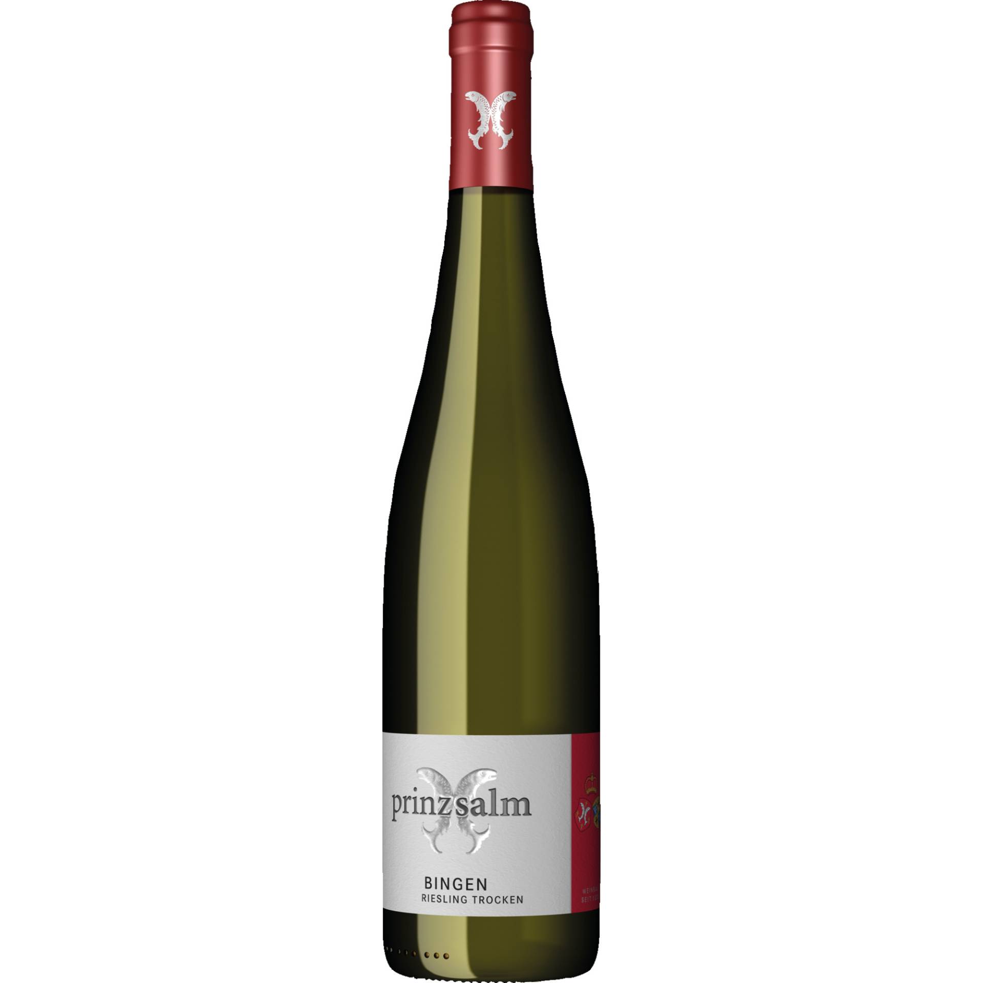 Bingen Riesling, Trocken, Nahe, Rheinhessen, 2019, Weißwein von Weingut Prinz Salm, Schlossstraße 3, 55595 Wallhausen