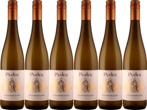 6x Sauvignon Blanc trocken 2023 - Weingut Puder, Pfalz - Weißwein von Weingut Puder