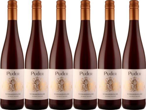 6x Schwarzriesling Rotwein trocken 2022 - Weingut Puder, Pfalz - Rotwein von Weingut Puder