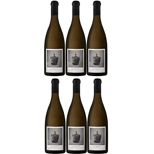 The Apprentice White Cinsaut Weißwein Südafrika Wein trocken I Visando Paket (6 x 0,75l) von Weingut Rare Wines