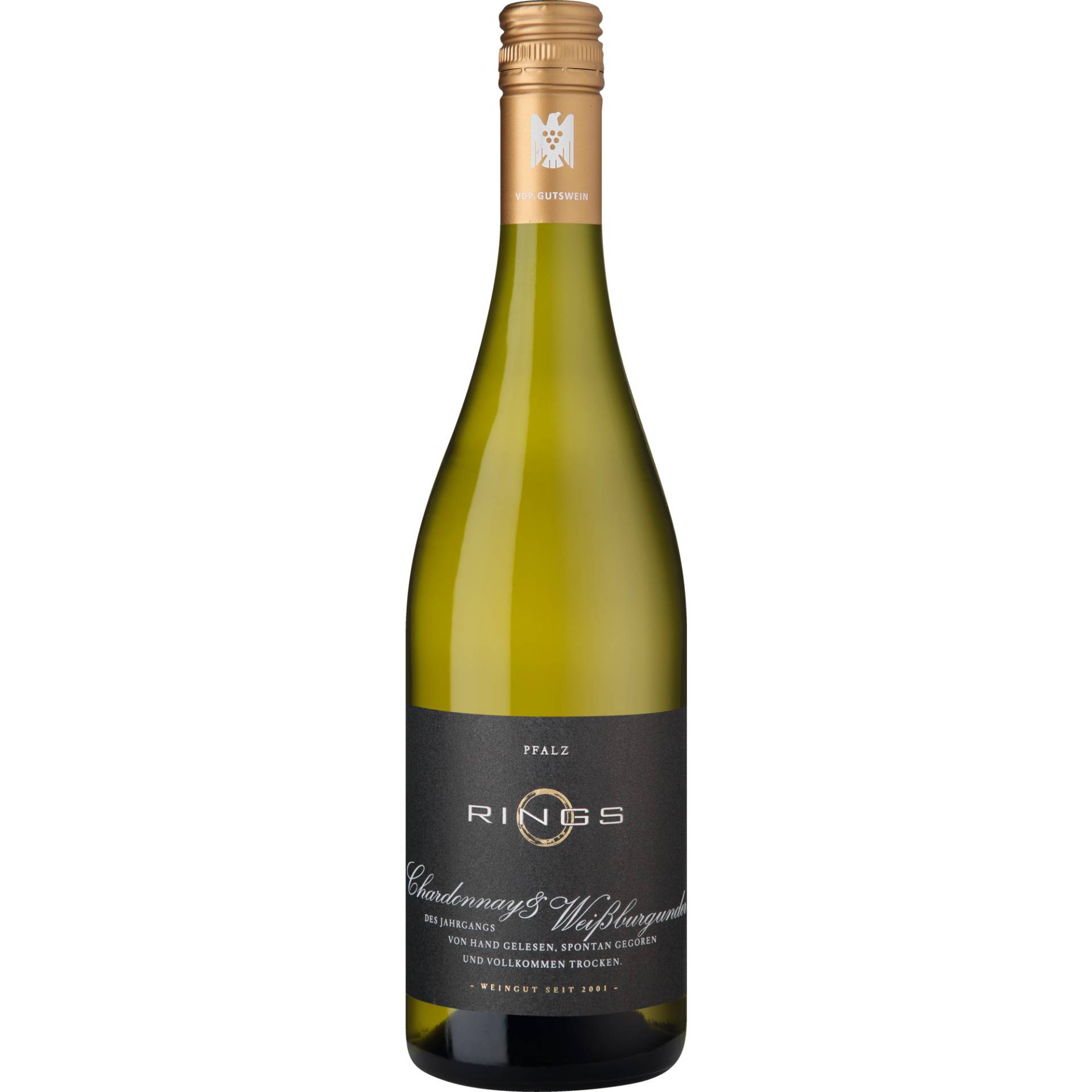 Rings Chardonnay-Weißburgunder, Trocken, Pfalz, Pfalz, 2023, Weißwein Rings Chardonnay-Weißburgunder, Trocken, Pfalz, Pfalz, 2023, Weißwein von Weingut Rings, D - 67251 Freinsheim