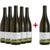 Rinke 2017 Pinot Noir Réserve vom Schiefer 5+1 Paket von Weingut Rinke
