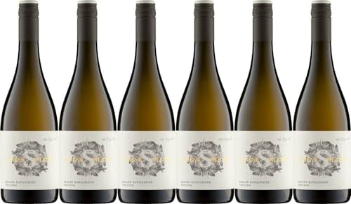 6x Grauer Burgunder 2019 - Weingut Schenk-Siebert, Pfalz - Weißwein von Weingut Schenk-Siebert