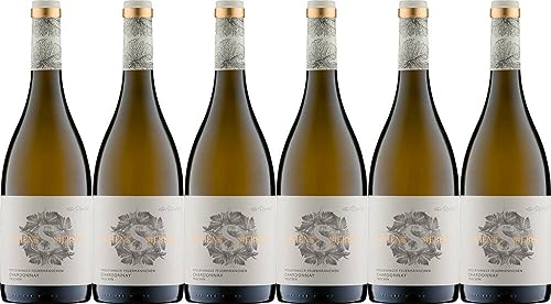 6x Neuleininger Feuermännchen Chardonnay trocken 2017 - Weingut Schenk-Siebert, Pfalz - Weißwein von Weingut Schenk-Siebert