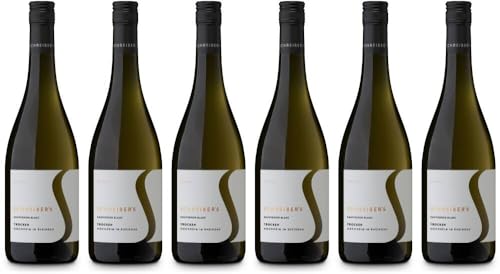 6x Hochheimer Sauvignon Blanc 2023 - Weingut Schreiber, Rheingau - Weißwein von Weingut Schreiber