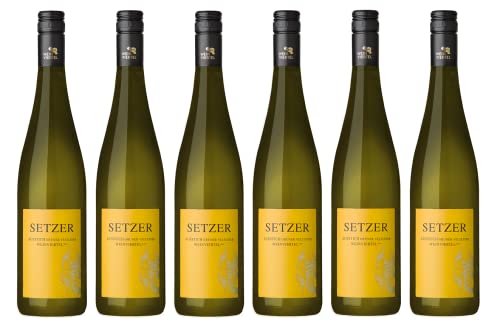 6x 0,75l - Weingut Setzer - Ausstich - Grüner Veltliner - Weinviertel DAC - Österreich - Weißwein trocken von Weingut Setzer