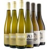 Sonnenberg Speeter 2020 Pfalzwein Entdecker-Paket von Weingut Sonnenberg Speeter