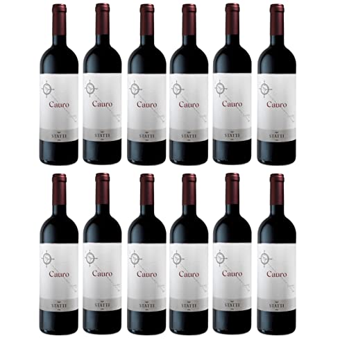 Statti Cauro IGT Calabria Rotwein Cuvee Wein Trocken Italien I Versanel Paket (12 x 0,75l) von Weingut Statti