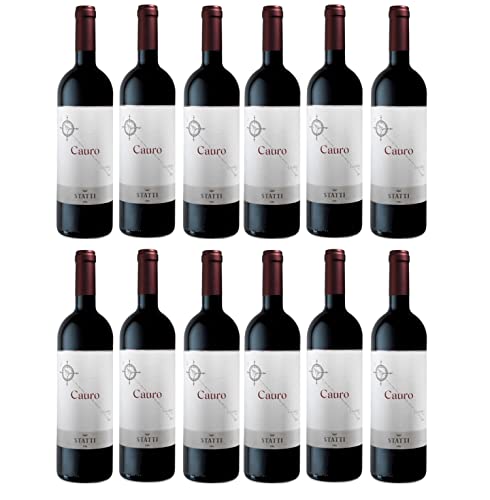 Statti Cauro IGT Calabria Rotwein Cuvee Wein Trocken Italien I Versanel Paket (12 x 0,75l) von Weingut Statti